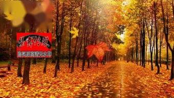 甘肃风光背景音乐,丝路风情·甘肃风光音乐之旅